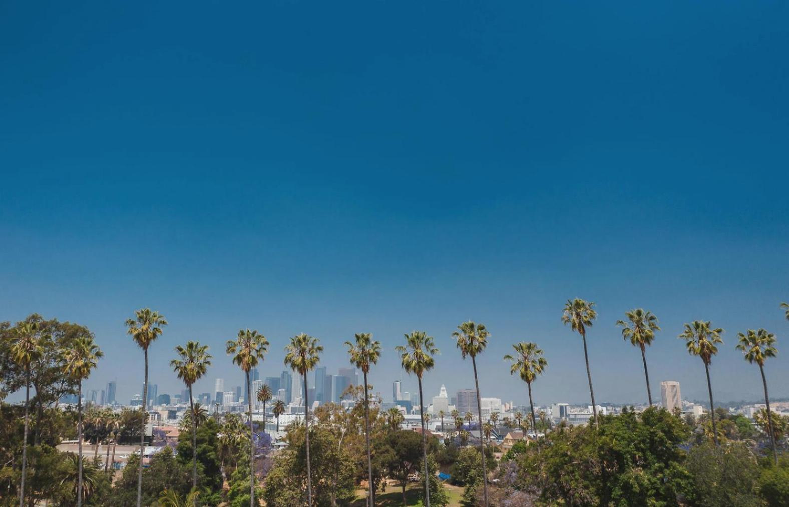 Gorgeous Apartment 2-Bedroom 2-Bathroom Los Angeles Exteriör bild
